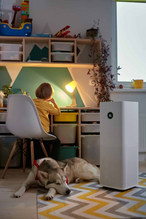 Désinfecteur et Purificateur d'air : pour lutter contre les polluants