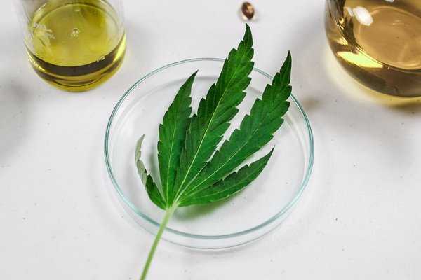 Acheter du cbd pas cher en ligne : tous les astuces à savoir